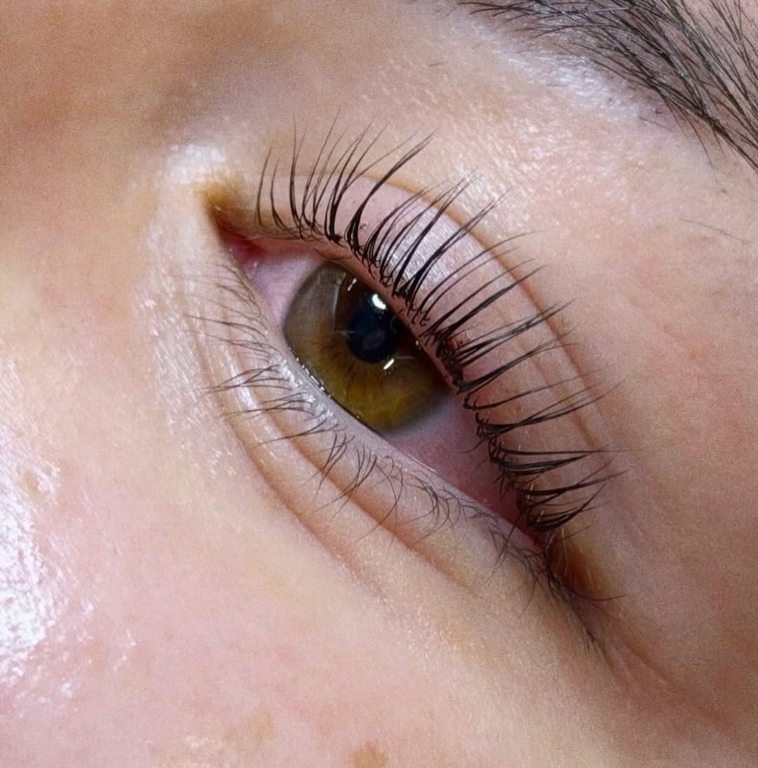 Close-up of a lifted natural lash